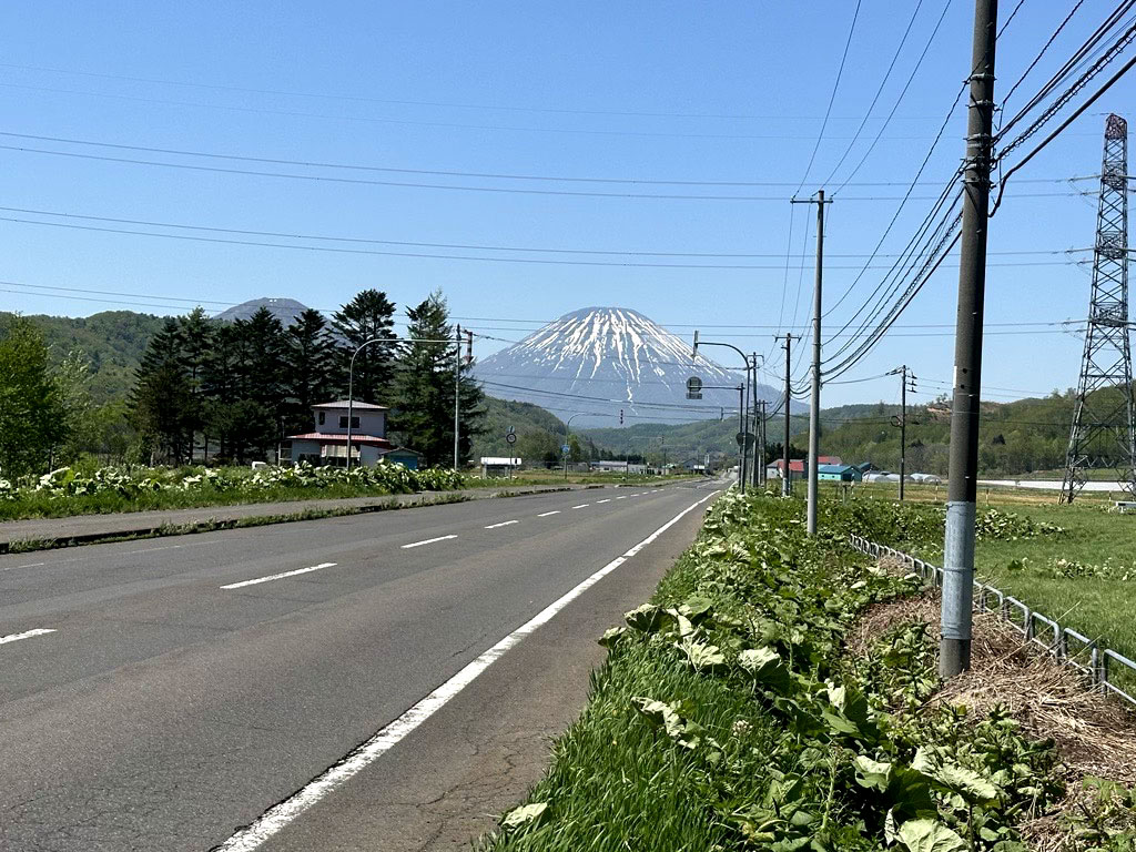 A view of Mt Fuji