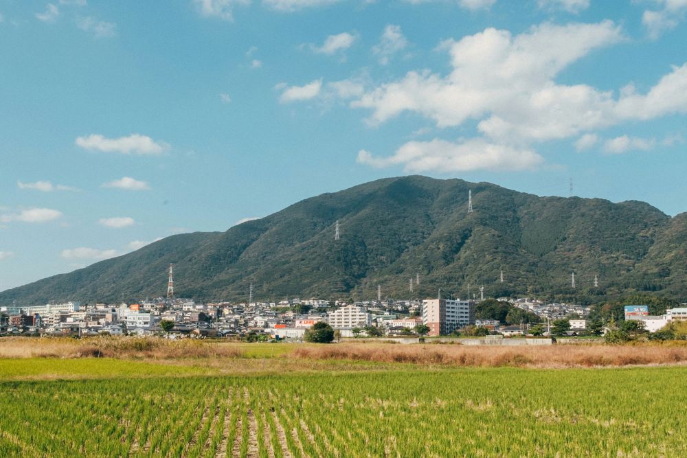 A view looking across a rice paddy with a Japanese town and a mountain range in the distance