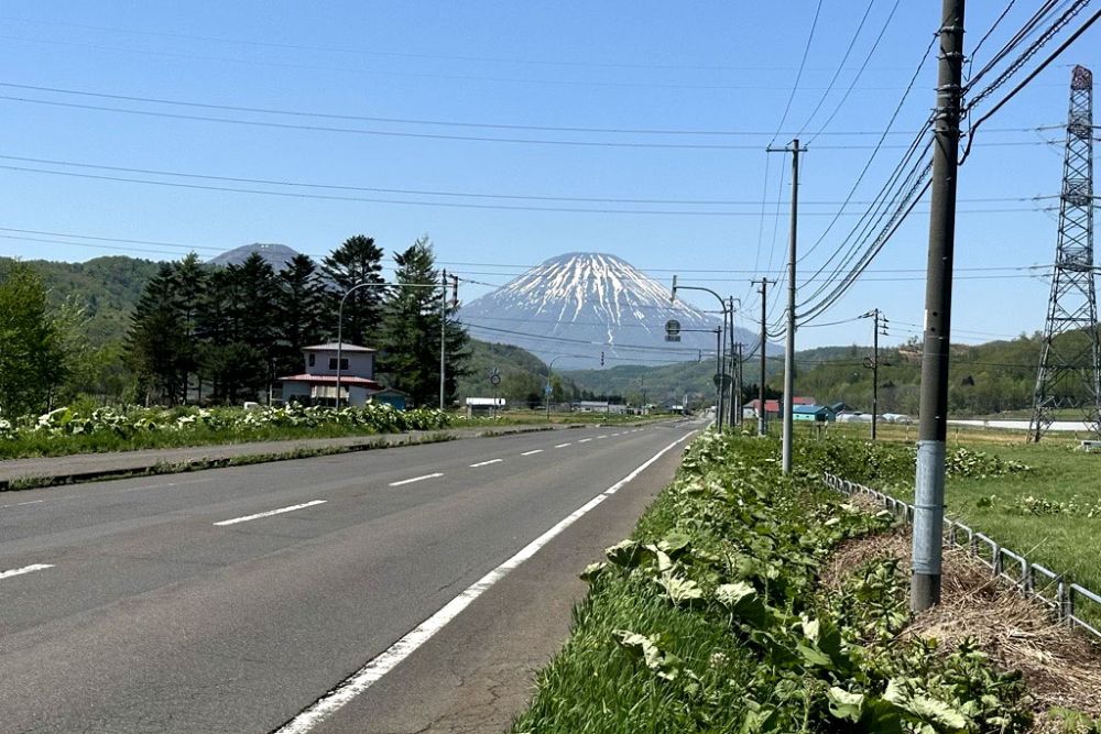 A view of Mt Fuji