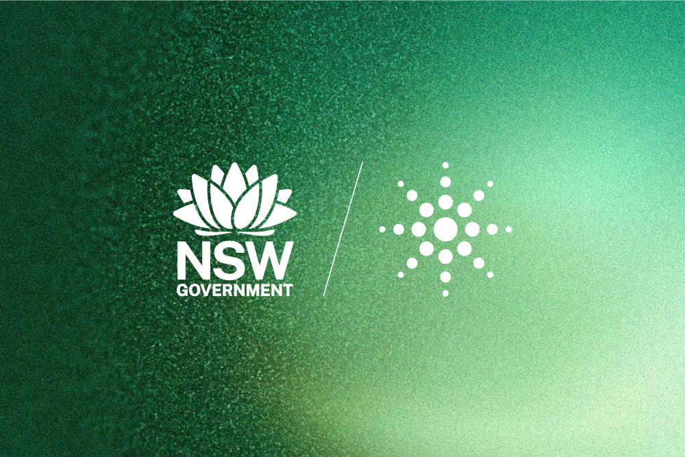 The NSW Government logo and Akaysha logo shown in white against a textured green background