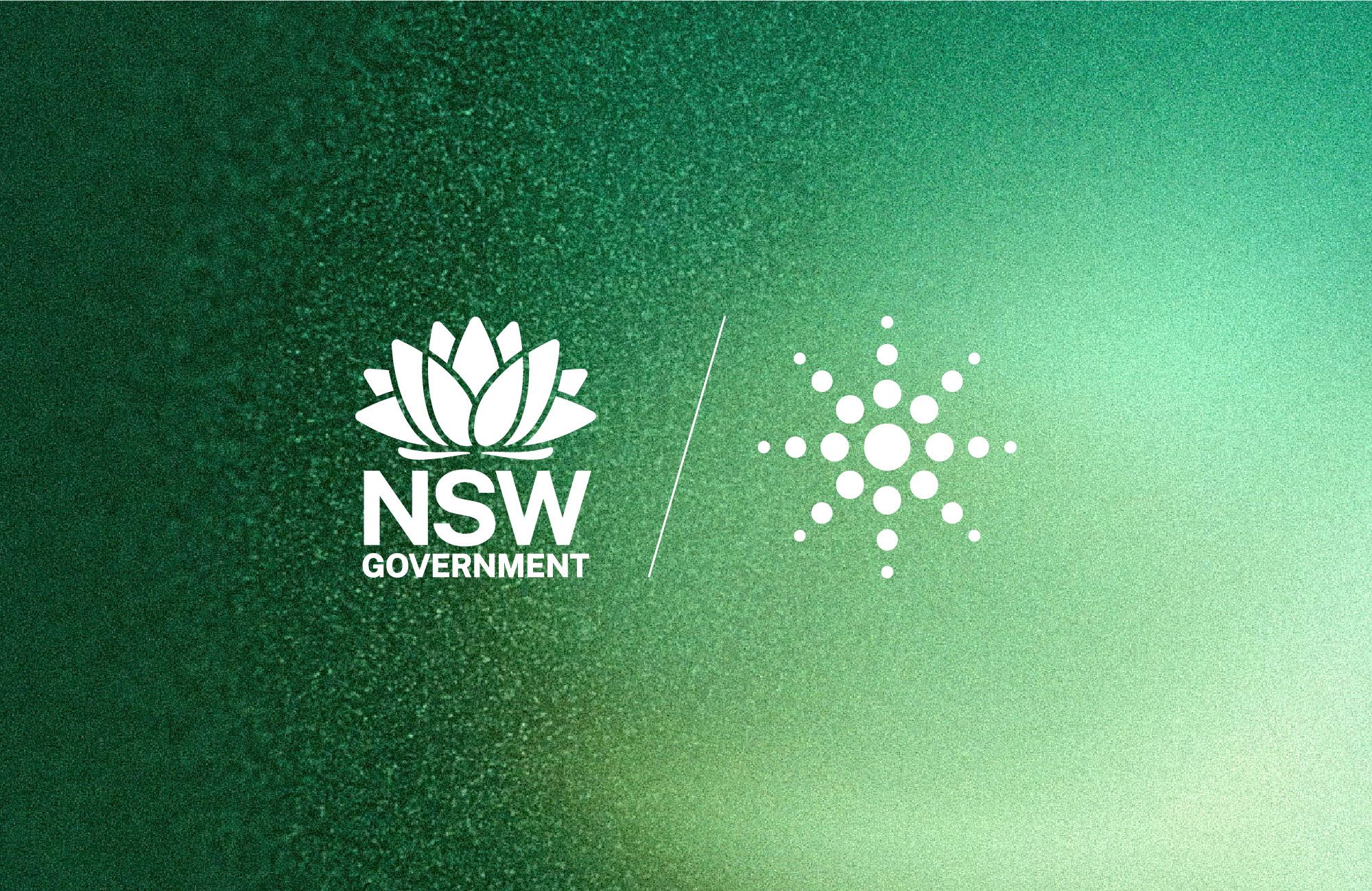 The NSW Government logo and Akaysha logo shown in white against a textured green background